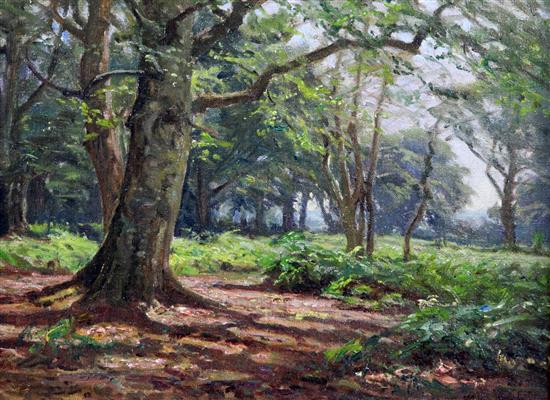 Frederick Golden Short (1863-1936) View in the New Forest 8.5 x 11.5in.